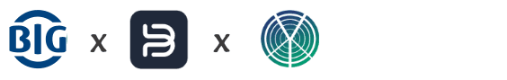 BIG-DIREKT Logo