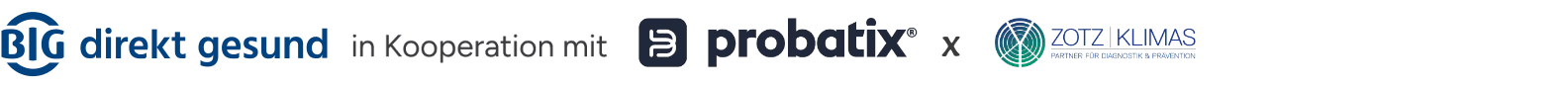 BIG-DIREKT Logo
